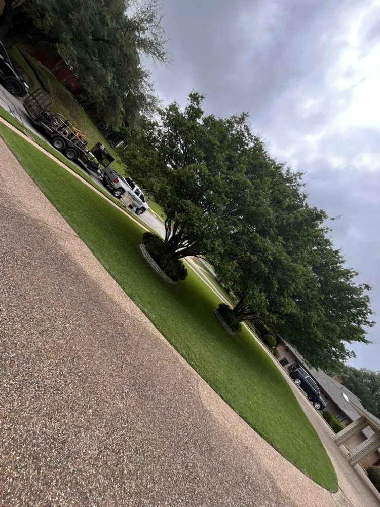 Expert yard maintenance for year-round maintenance in Fort Worth, TX by Gonzalez Landscaping