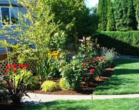 Local lawn care service in Gresham, OR by Gonzalez Landscaping