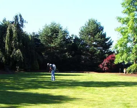 Trusted yard cleanup service for homes in Gresham, OR by Gonzalez Landscaping