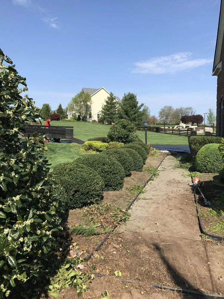 Top-rated lawn care service experts serving Leesburg, VA - Gonzalez Landscaping