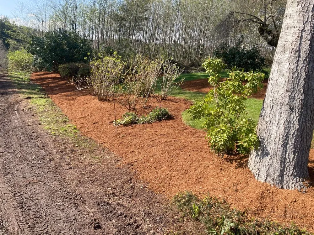 Custom yard maintenance in Longview, WA by Gonzalez Landscaping