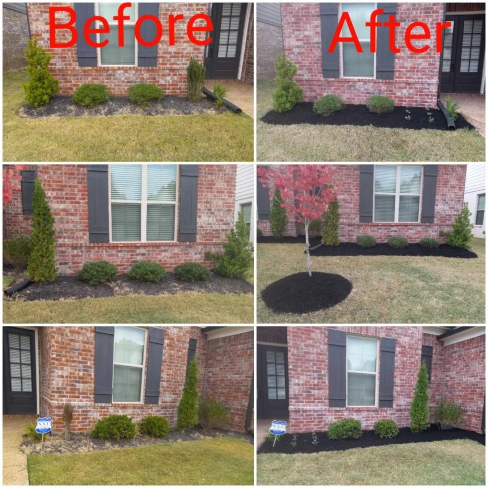 Top-rated yard maintenance near you in Memphis, TN by Gonzalez Landscaping