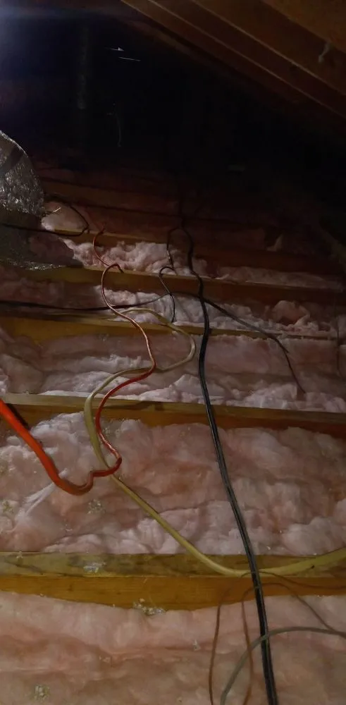 Affordable landscaping services experts serving Memphis, TN - Gonzalez Landscaping