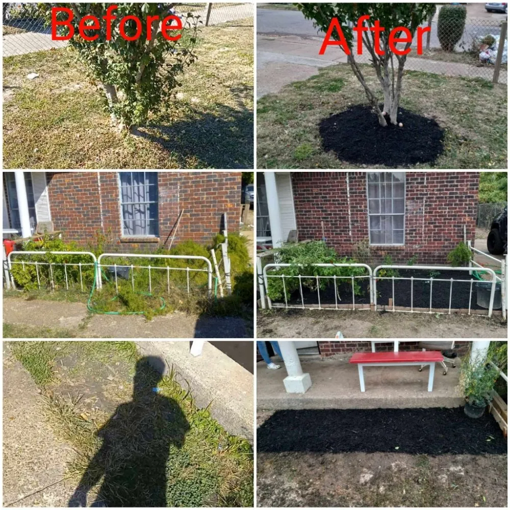 Local yard cleanup service experts serving Memphis, TN - Gonzalez Landscaping