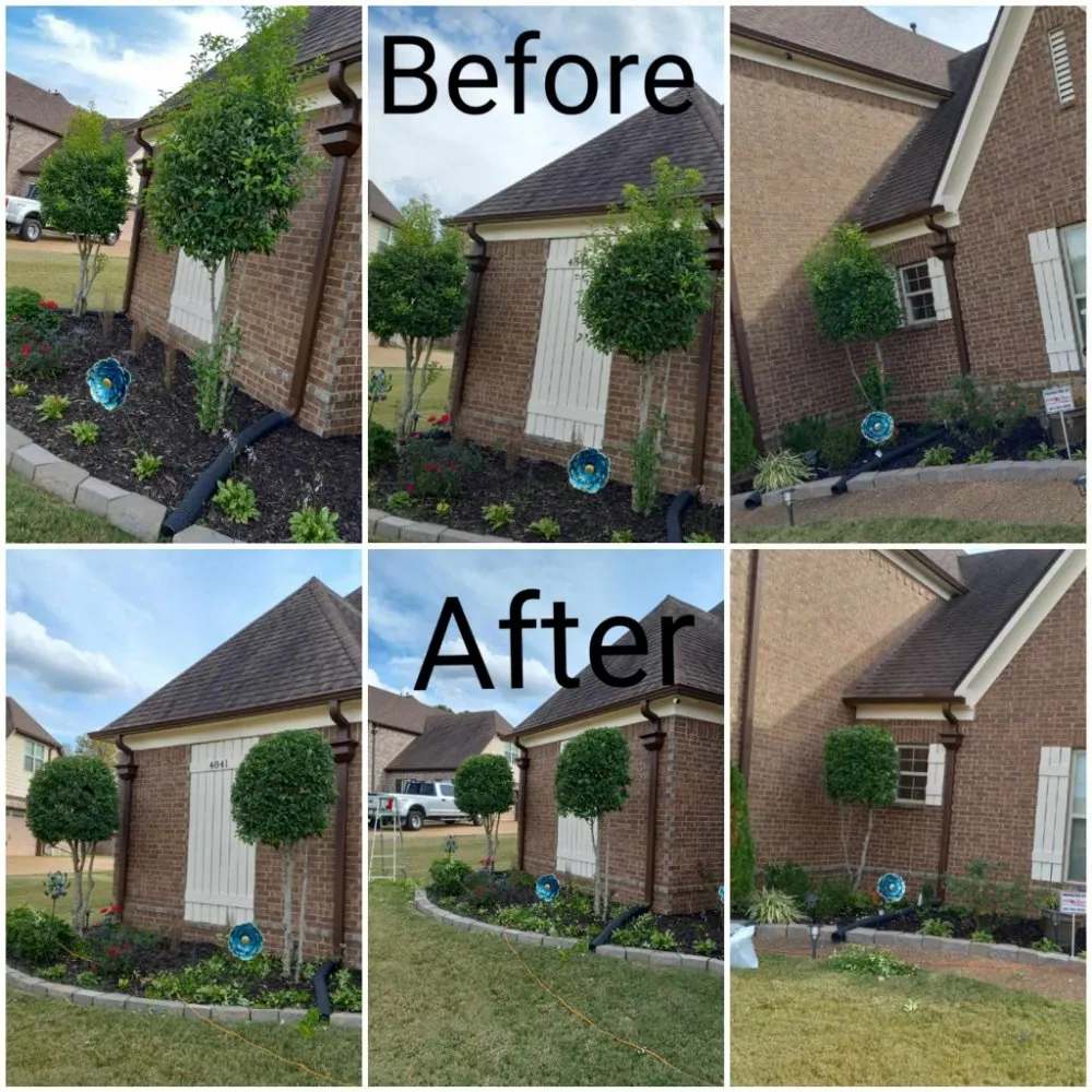 Professional garden landscaping in Memphis, TN by Gonzalez Landscaping