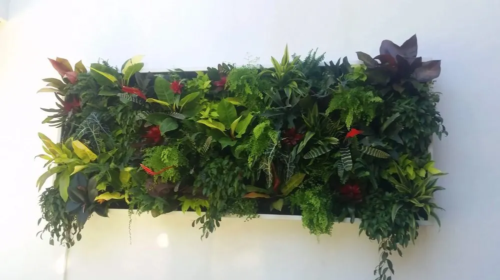 Affordable lawn mowing service for residential properties in Richmond, CA by Gonzalez Landscaping