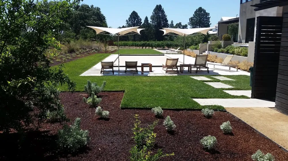 Professional yard cleanup service for residential properties across Richmond, CA - Gonzalez Landscaping
