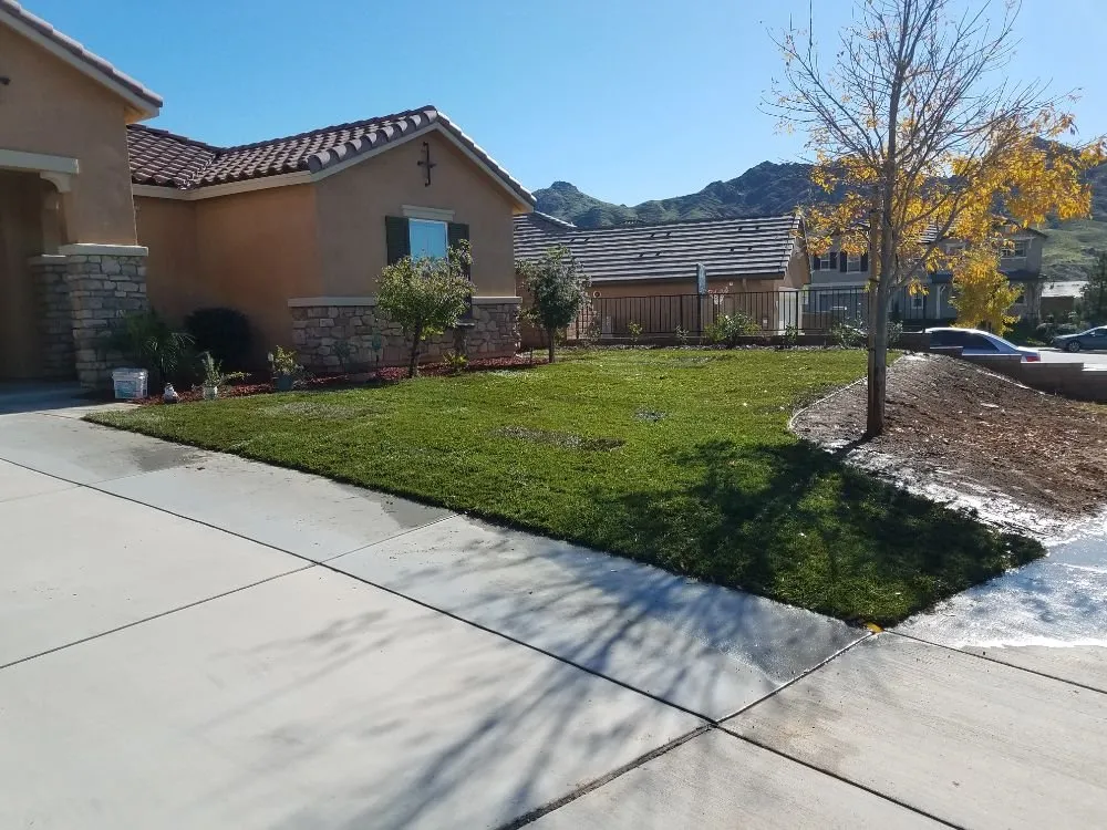 Top-rated yard cleanup service for year-round maintenance across Riverside, CA - Gonzalez Landscaping