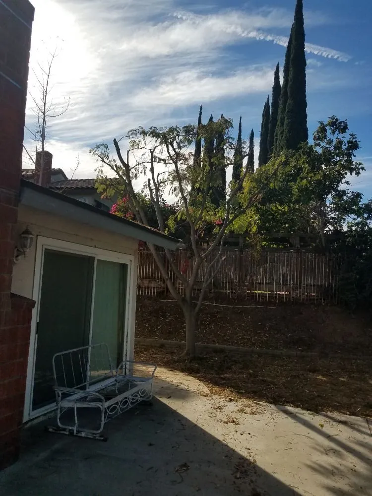 Expert landscape installation in Riverside, CA - Gonzalez Landscaping