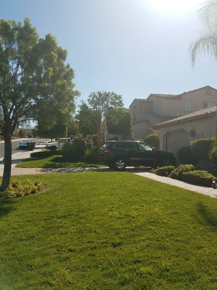 Custom lawn mowing service experts serving Riverside, CA - Gonzalez Landscaping