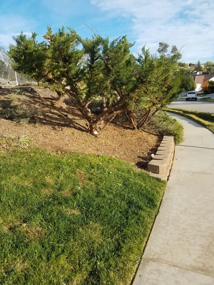 Affordable garden landscaping with custom design in Riverside, CA by Gonzalez Landscaping