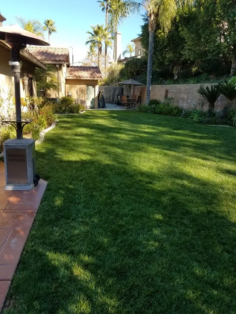Reliable yard maintenance in Riverside, CA by Gonzalez Landscaping