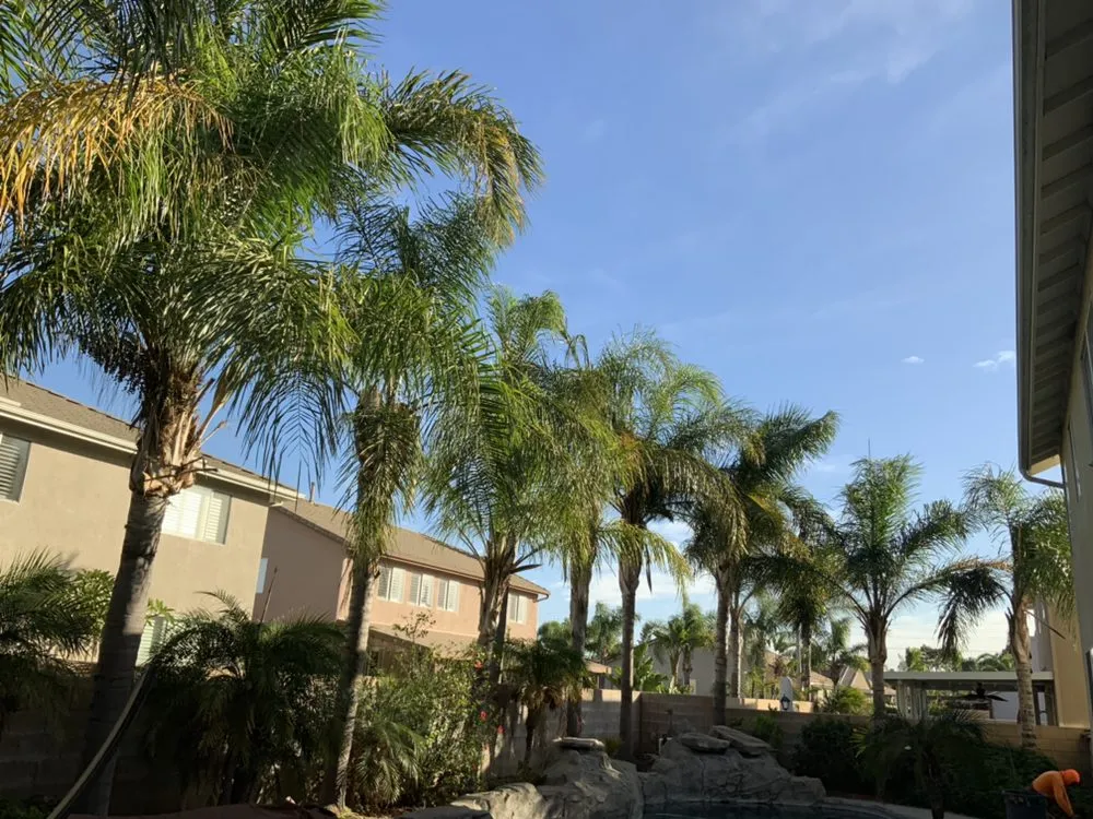 Affordable residential landscaping in Riverside, CA by Gonzalez Landscaping