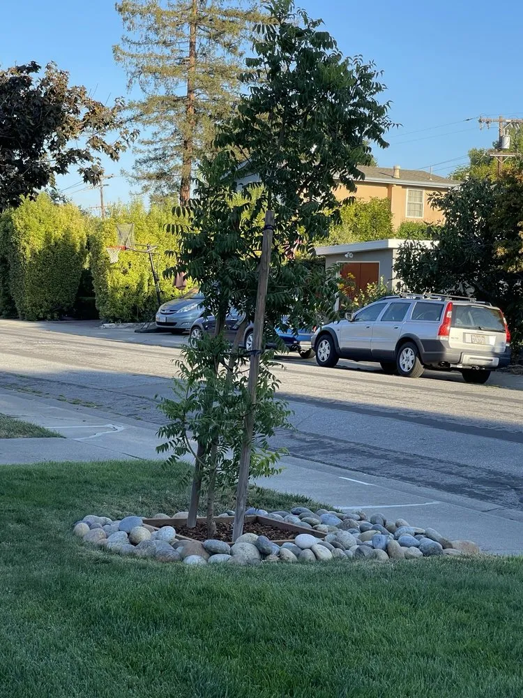 Custom landscape installation experts serving San mateo, CA - Gonzalez Landscaping