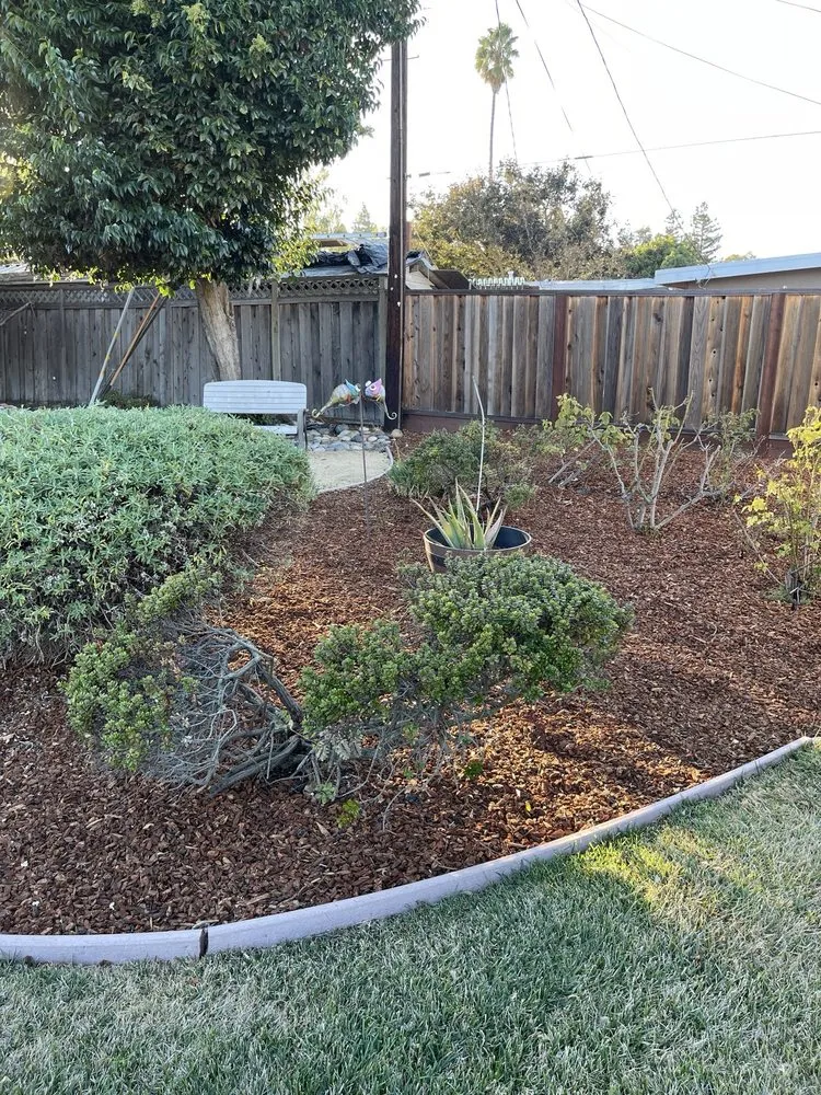 Affordable lawn care service in San mateo, CA - Gonzalez Landscaping