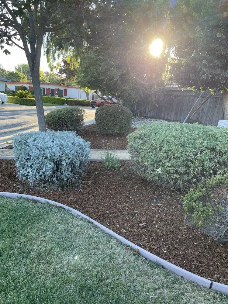 Custom yard cleanup service in San mateo, CA - Gonzalez Landscaping