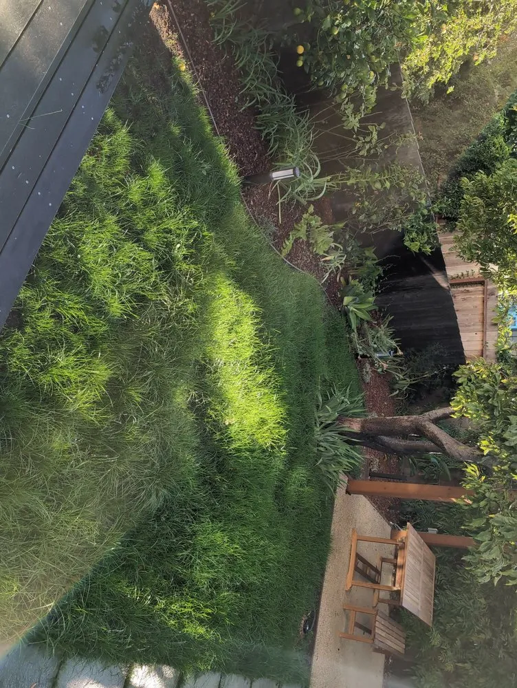 Local landscape design experts serving San mateo, CA - Gonzalez Landscaping