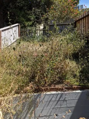 Gonzalez Landscaping Logo