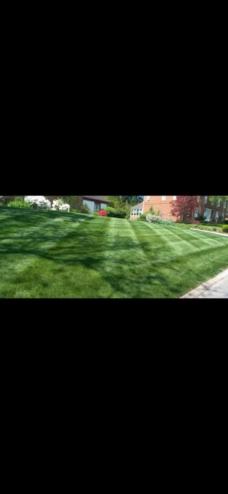 Professional yard maintenance in Lancaster, PA by Gonzalez Landscaping service