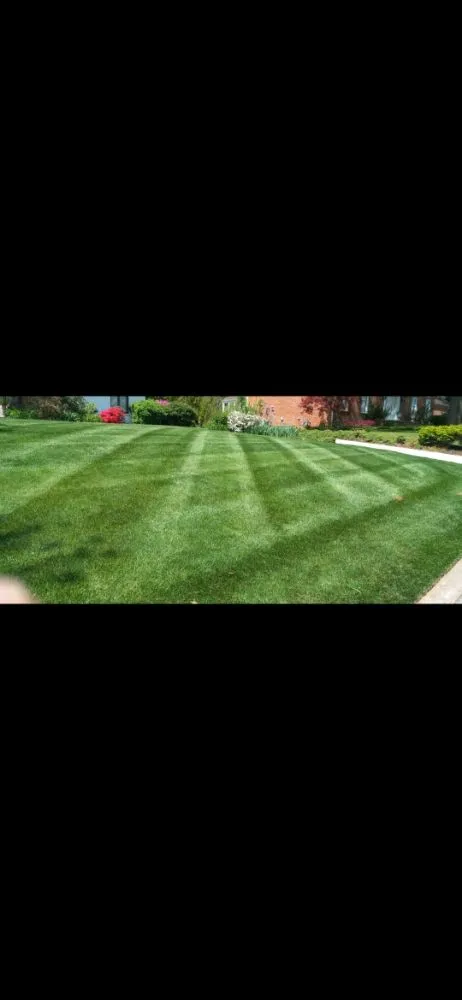 Professional yard maintenance experts serving Lancaster, PA - Gonzalez Landscaping service