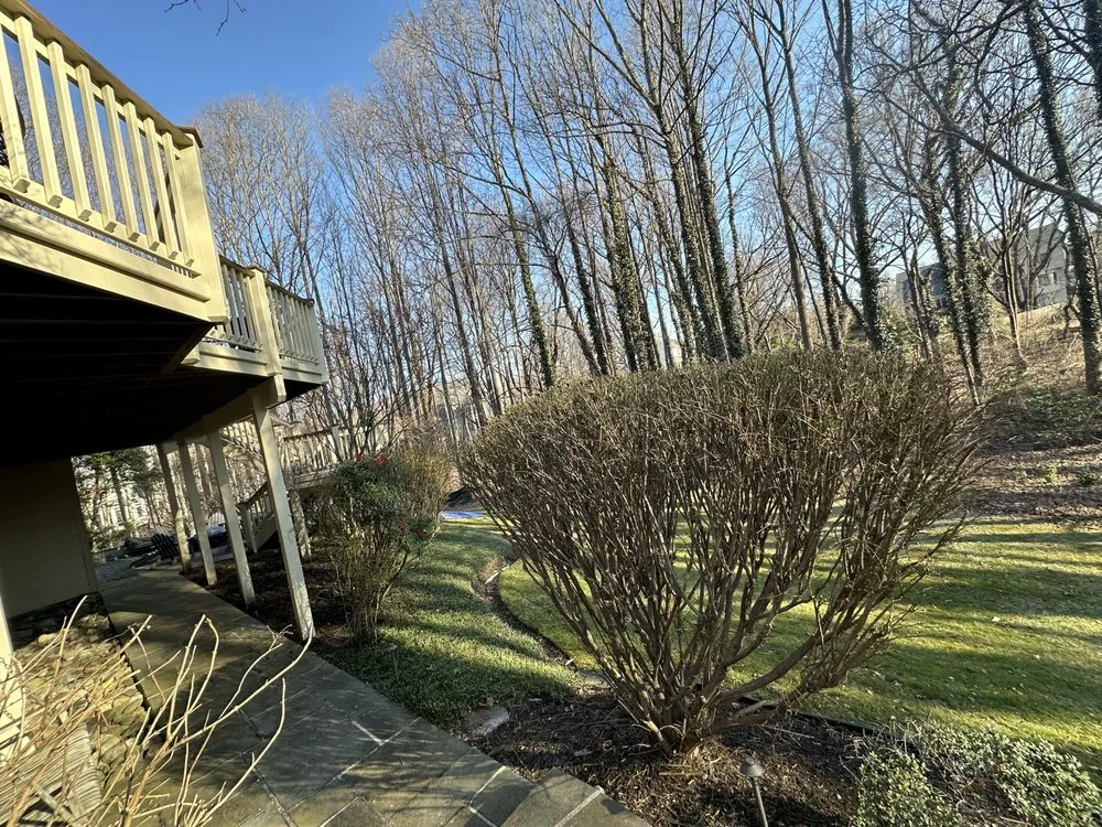 Custom landscaping services in Leesburg, VA - Gonzalez Landscaping Service