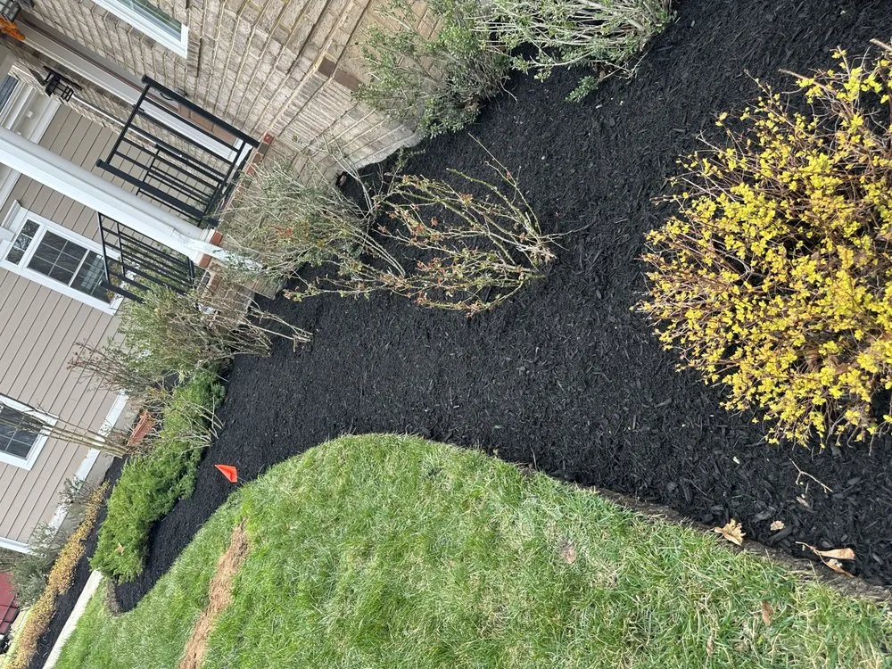 Reliable yard maintenance in Leesburg, VA by Gonzalez Landscaping Service