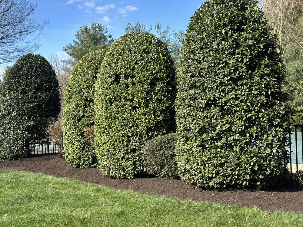Local outdoor landscaping in Leesburg, VA - Gonzalez Landscaping Service