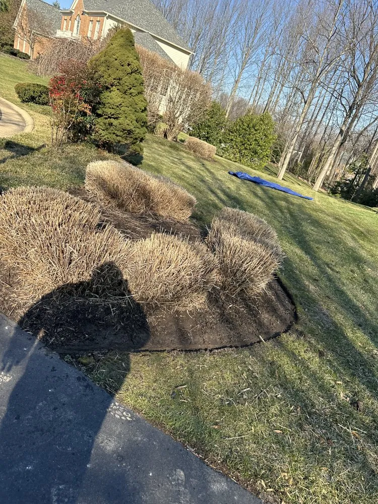 Trusted yard cleanup service experts serving Leesburg, VA - Gonzalez Landscaping Service