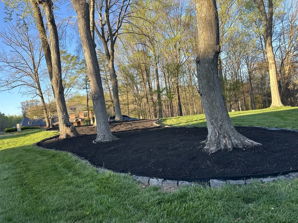 Affordable yard cleanup service in Leesburg, VA by Gonzalez Landscaping Service