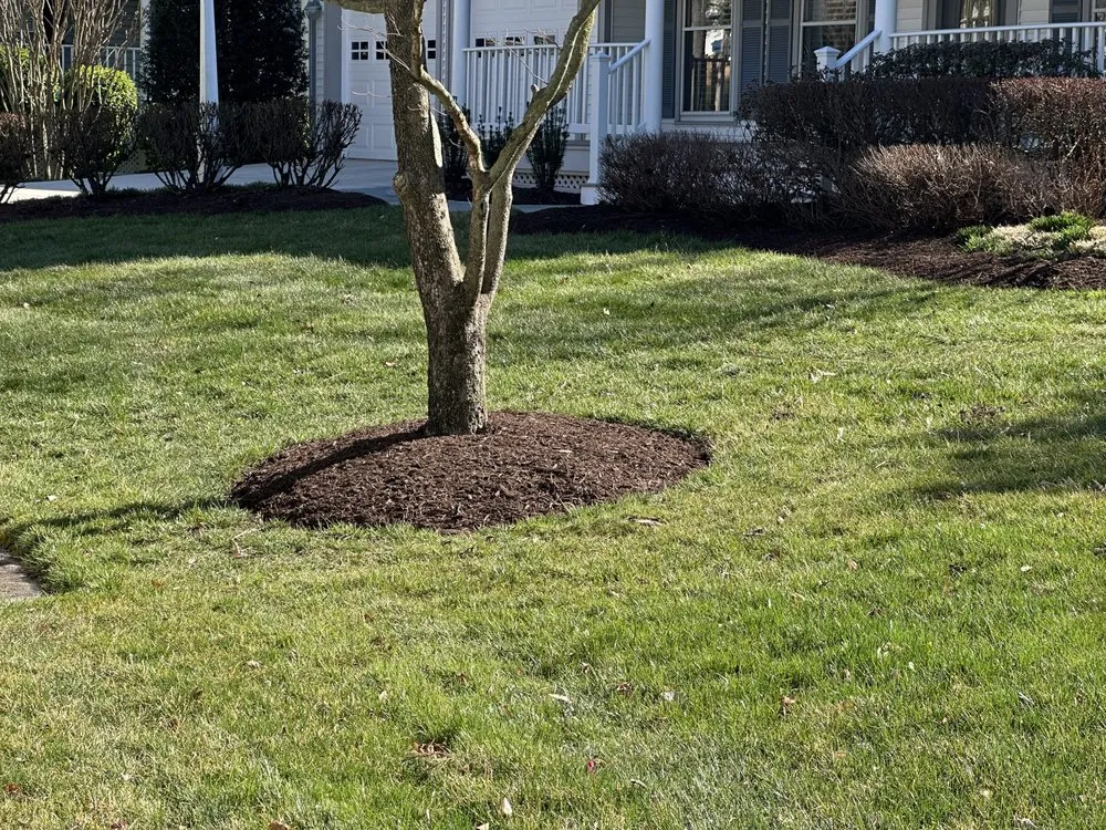 Custom lawn care service for outdoor upgrades in Leesburg, VA by Gonzalez Landscaping Service