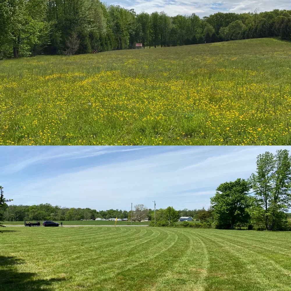 Professional landscape installation for year-round maintenance across Bridgeton, NJ - Gonzalez Landscaping Services