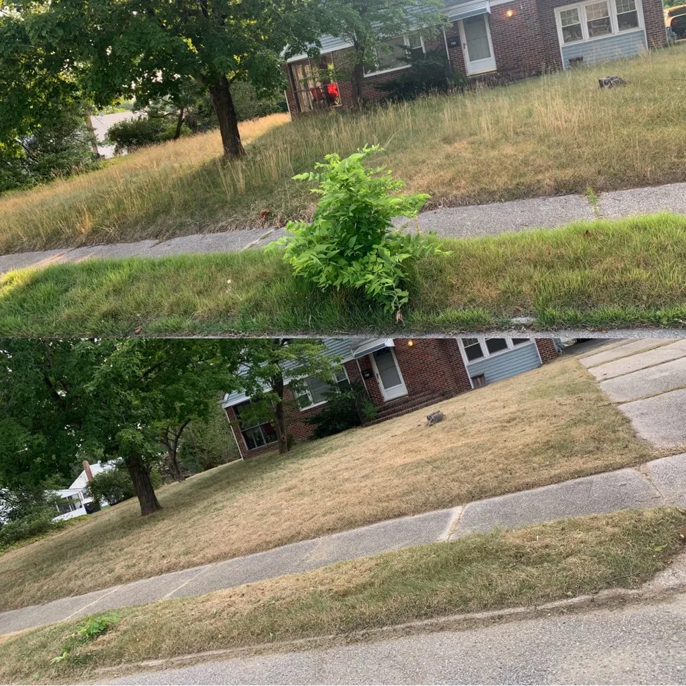 Top-rated garden landscaping experts serving Bridgeton, NJ - Gonzalez Landscaping Services