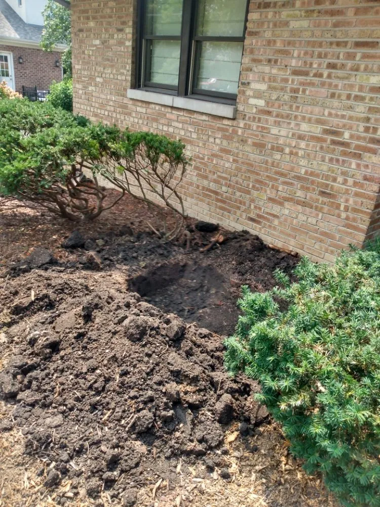 Local yard maintenance in West Chicago, IL - Gonzalez Landscaping