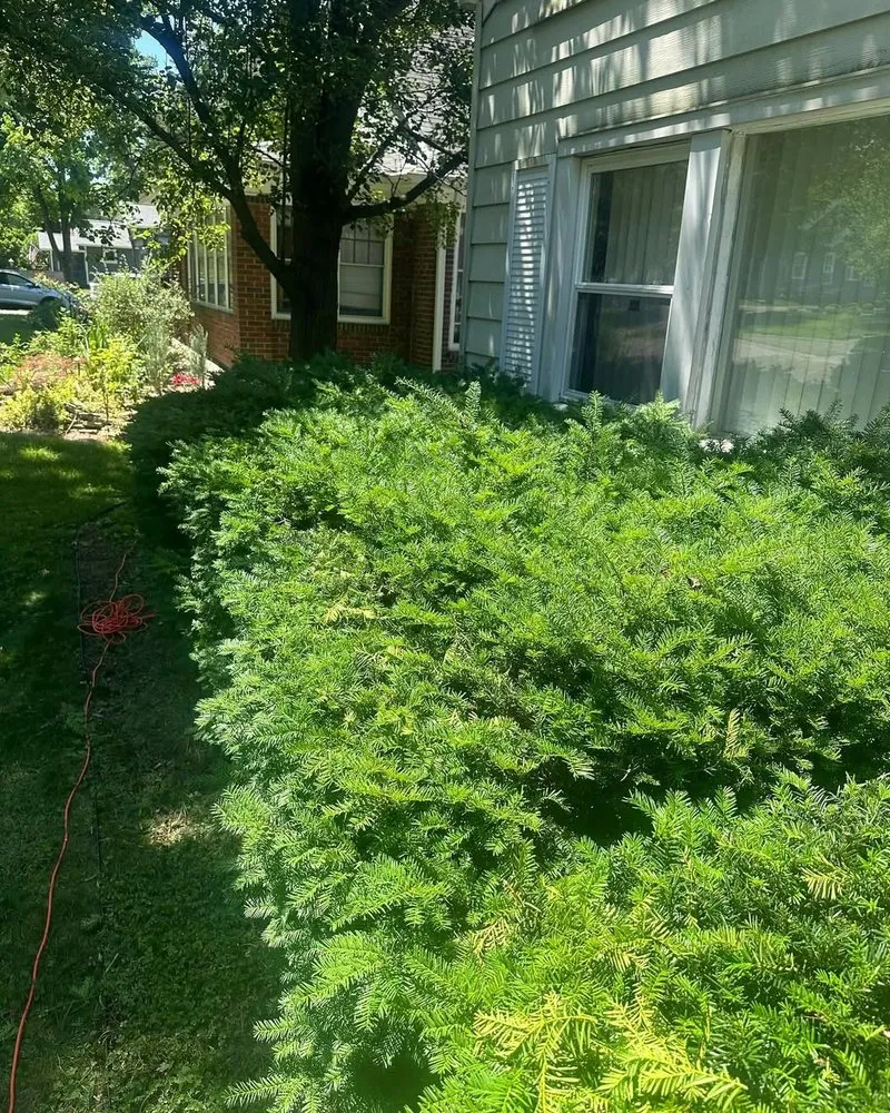 Trusted residential landscaping experts serving Indianapolis, IN - Gonzalez Lawn Care & Landscaping