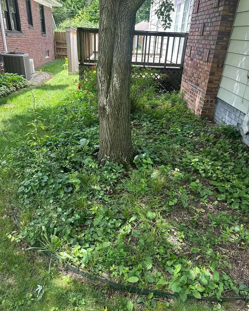 Custom residential landscaping experts serving Indianapolis, IN - Gonzalez Lawn Care & Landscaping