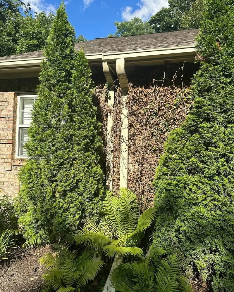 Affordable garden landscaping in Indianapolis, IN by Gonzalez Lawn Care & Landscaping