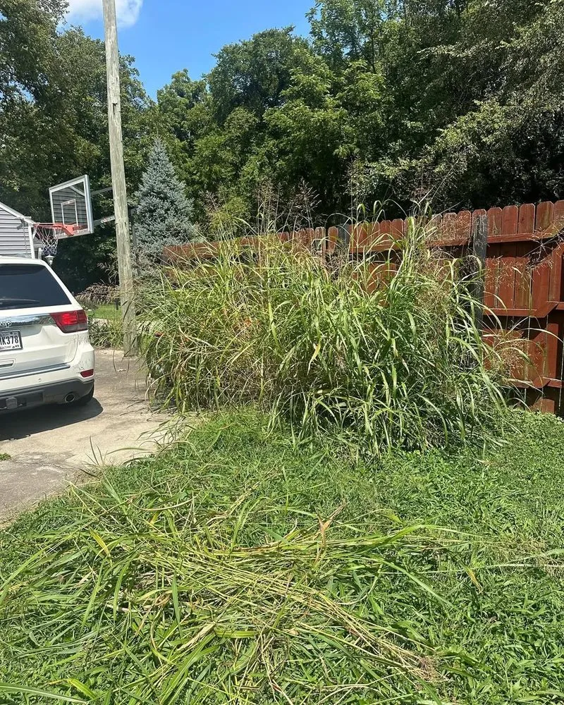 Local residential landscaping in Indianapolis, IN by Gonzalez Lawn Care & Landscaping