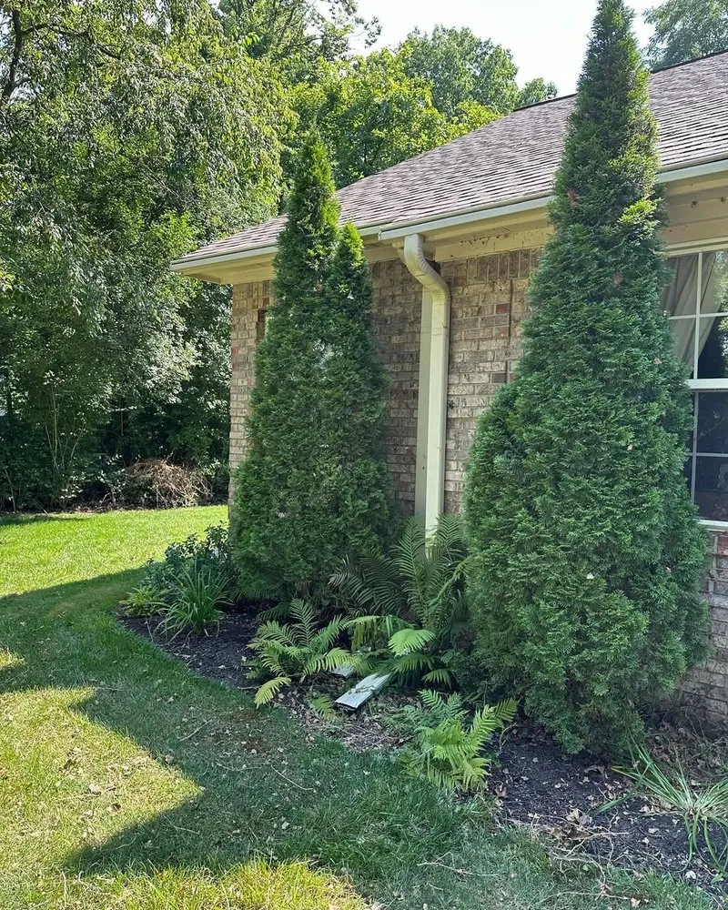 Reliable yard maintenance in Indianapolis, IN by Gonzalez Lawn Care & Landscaping