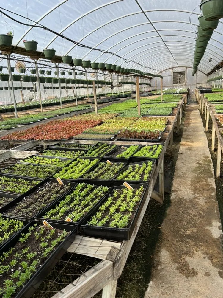 Expert landscape design for year-round maintenance in Hernando, MS by Gonzalez Lawn Care & Services