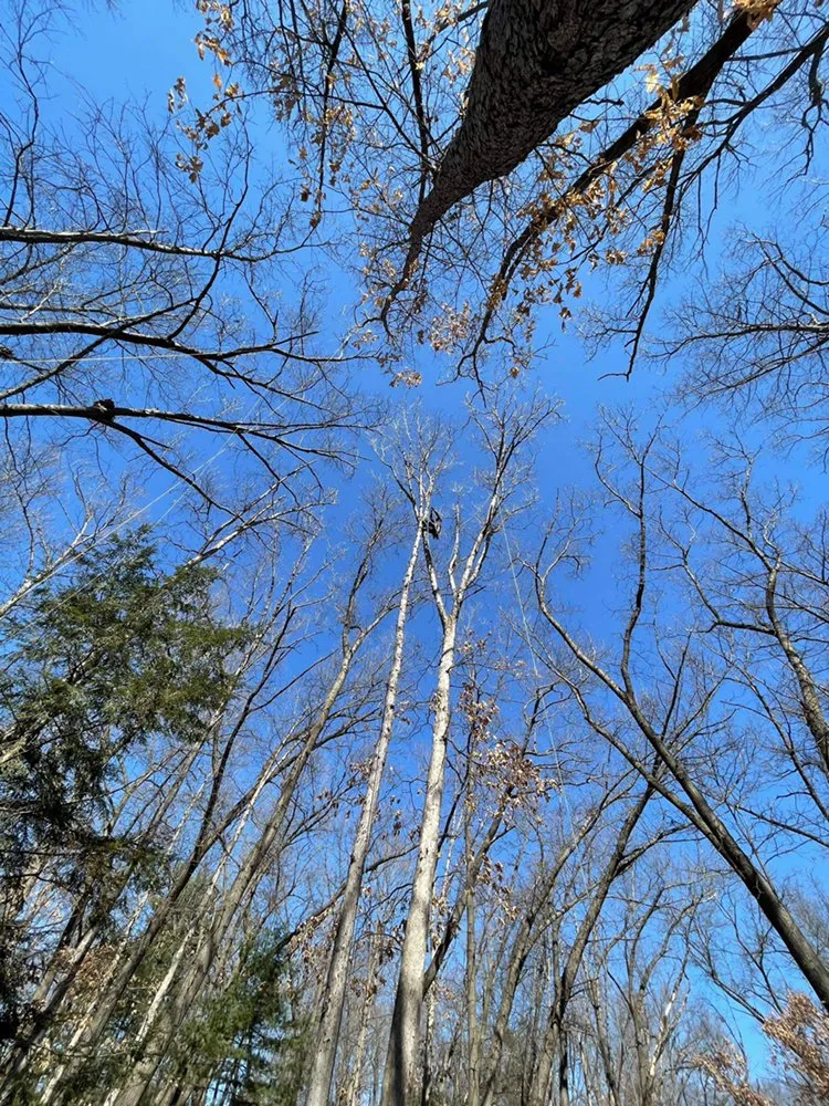 Custom landscape installation in South Bend, IN by Gonzalez Lawn Care And Landscaping