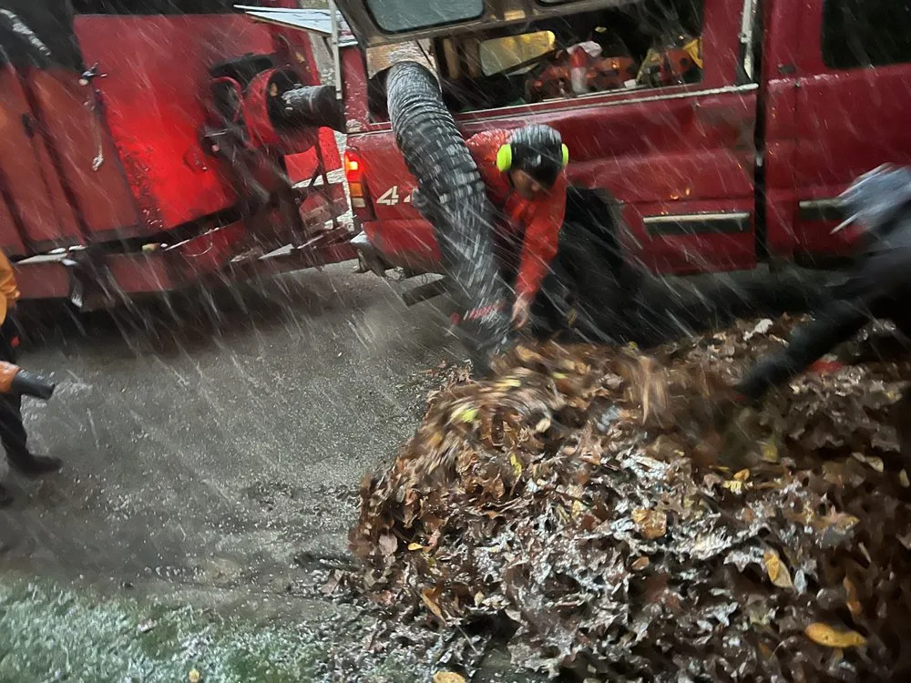 Top-rated landscape design for homes across South Bend, IN - Gonzalez Lawn Care And Landscaping