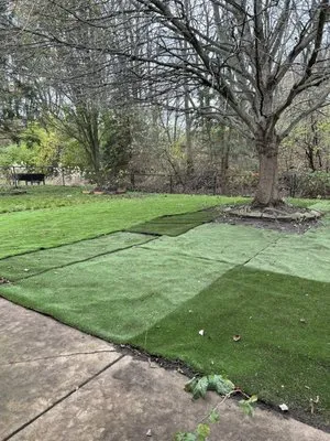 Gonzalez Lawn Care And Landscaping Logo