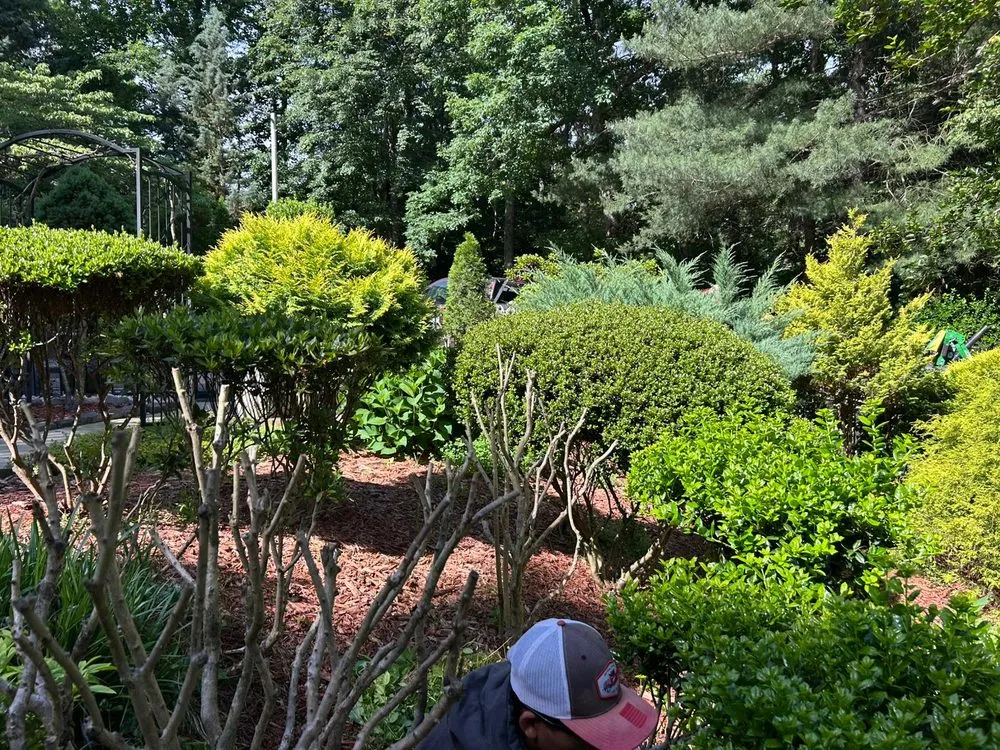 Top-rated residential landscaping for beautiful yards across Conover, NC - Gonzalez Lawn Care