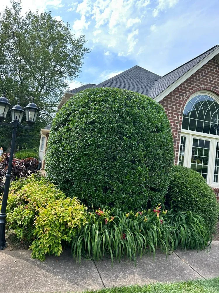 Professional lawn care service for homes across Conover, NC - Gonzalez Lawn Care