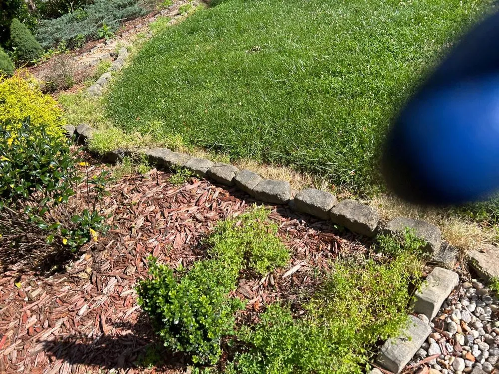 Top-rated landscape design experts serving Conover, NC - Gonzalez Lawn Care