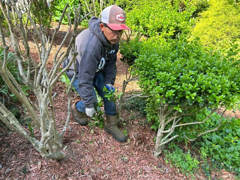 Reliable landscaping services in Conover, NC - Gonzalez Lawn Care