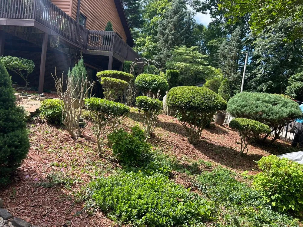 Top-rated yard cleanup service in Conover, NC by Gonzalez Lawn Care