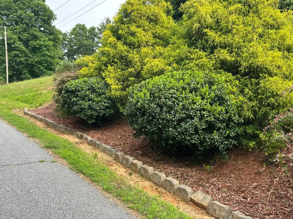 Trusted yard cleanup service near you in Conover, NC by Gonzalez Lawn Care