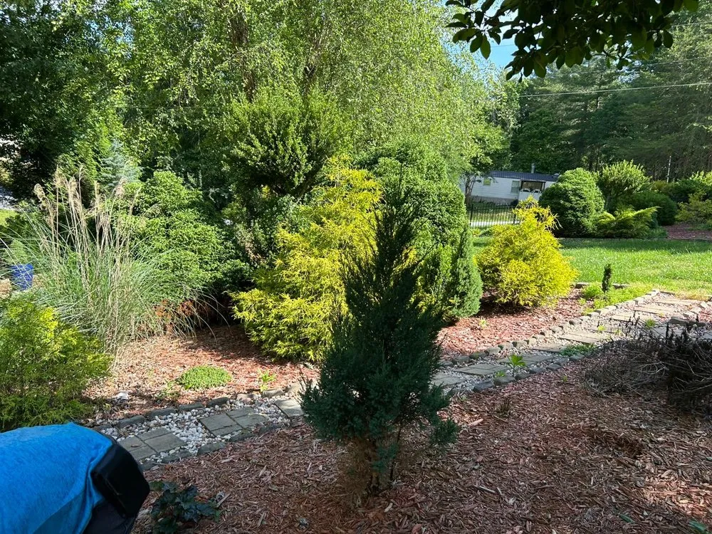 Expert yard cleanup service for residential properties across Conover, NC - Gonzalez Lawn Care