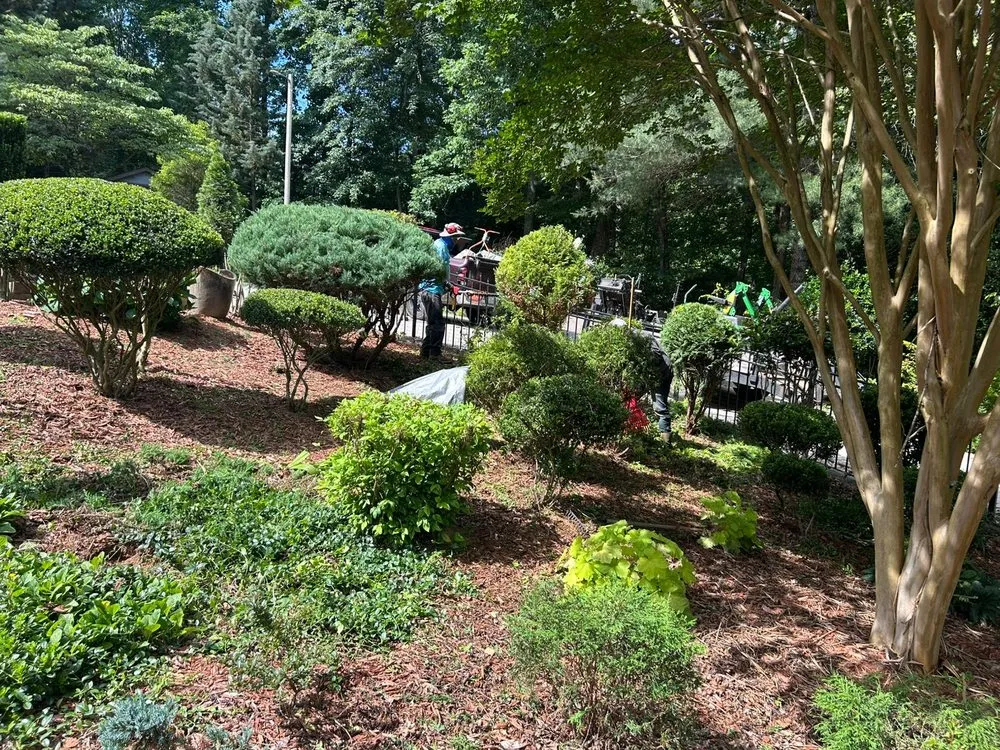 Trusted garden landscaping in Conover, NC - Gonzalez Lawn Care